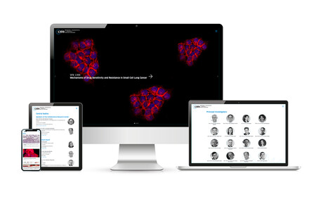 Websolutions für SFB 1399 der Agentur Federmann und Kampcyzk design