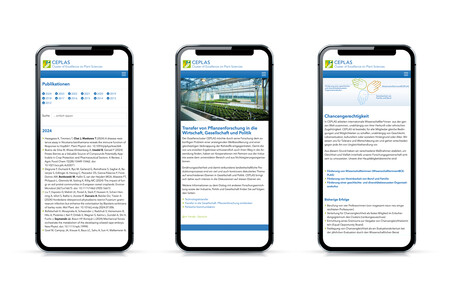 Websolutions für CEPLAS – Cluster of Excellence der Agentur Federmann und Kampcyzk design