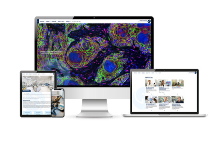 Websolutions für Georg-Speyer-Haus der Agentur Federmann und Kampcyzk design