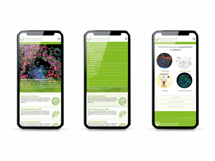 Beispiel für eine responsive Website