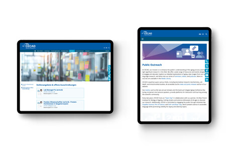 Websolutions für Exzellenzcluster CECAD der Agentur Federmann und Kampcyzk design
